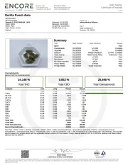 Gorilla Punch Auto – FastBuds – Autoflowering