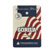 Gorila – Pyramid Seeds – Feminized