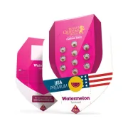 Watermelon – Royal Queen Seeds – Feminized