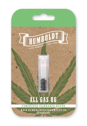 ALL GAS OG – Humboldt Seed Company – feminized