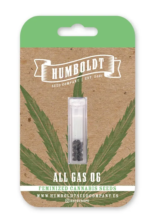 ALL GAS OG – Humboldt Seed Company – feminized