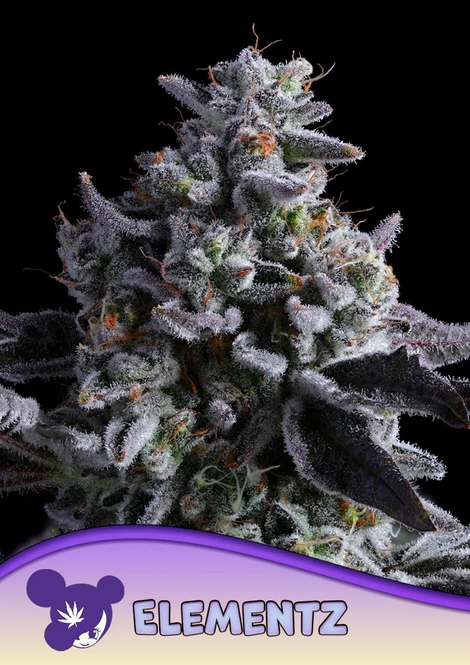 Elementz – Anesia Seeds – feminized