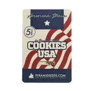 Cookies USA – Pyramid Seeds – Feminized