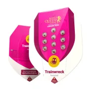 Trainwreck – Royal Queen Seeds – Feminized