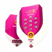 Grape Ape – Royal Queen Seeds – Feminized
