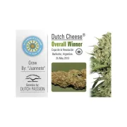 Dutch Cheese – Dutch Passion – Feminized