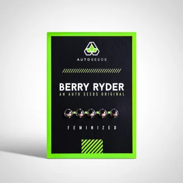 Berry Ryder – Auto Seeds – autoflowering