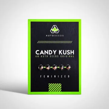 Candy Kush – Auto Seeds – autoflowering