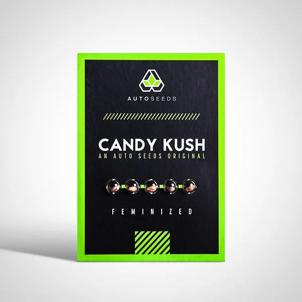 Candy Kush – Auto Seeds – Autoflowering