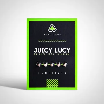 Juicy Lucy – Auto Seeds – autoflowering