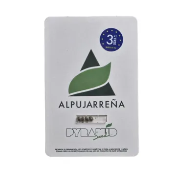 Alpujarreña – Pyramid Seeds – feminized