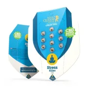 Stress Killer Auto CBD – Royal Queen Seeds – Autoflowering
