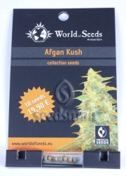Afghan Kush cannabis plants in bloom, grown from Regular seeds – ideal for home cultivation from World of Seeds