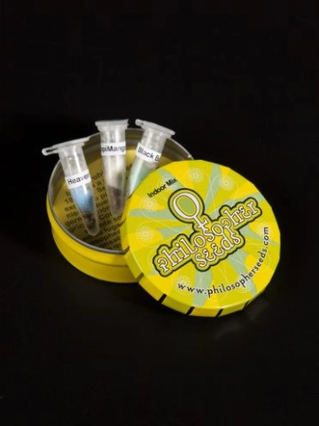 Indoor Mix Feminized  cannabis plants in bloom, grown from Feminized seeds – ideal for home cultivation from FastBuds Seeds