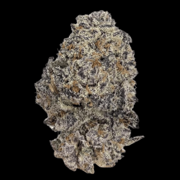Original Oreoz