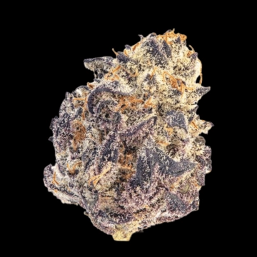 Cherry Mac Muffin cannabis plants in bloom, grown from Feminized seeds – ideal for home cultivation from Growers Choice