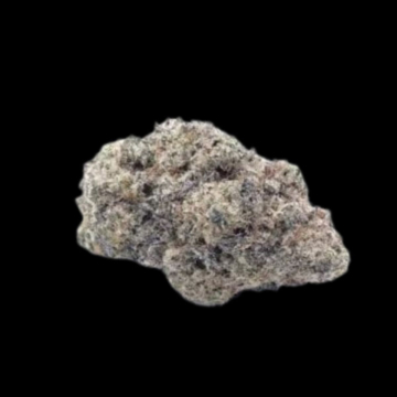 Cherry Zoap cannabis plants in bloom, grown from Automatic seeds – ideal for home cultivation from Growers Choice