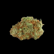 Monsterbud cannabis plants in bloom, grown from Feminized seeds – ideal for home cultivation from Growers Choice