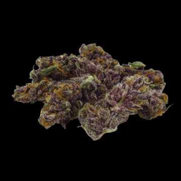 Blue Diesel cannabis plants in bloom, grown from Automatic seeds – ideal for home cultivation from Growers Choice