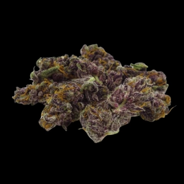 Blue Diesel cannabis plants in bloom, grown from Automatic seeds – ideal for home cultivation from Growers Choice