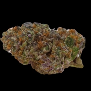 Blue Dream Sherbet cannabis plants in bloom, grown from Feminized seeds – ideal for home cultivation from Growers Choice