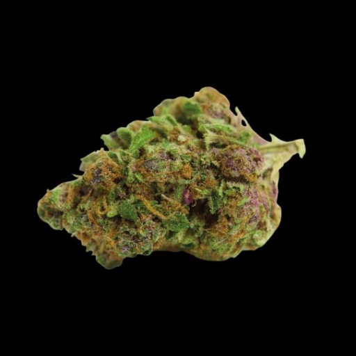 Double xl Red Banana Auto – Growers Choice – Autoflowering