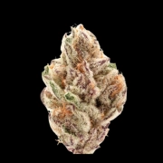 Sour Zkittlez cannabis plants in bloom, grown from Automatic seeds – ideal for home cultivation from Growers Choice