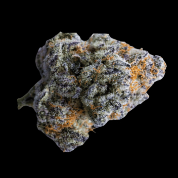 Platinum Mimosa Cookies Double Hanfsamen