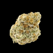 Double xl Forbidden Runtz Auto cannabis plants in bloom, grown from Automatic seeds – ideal for home cultivation from Growers Choice