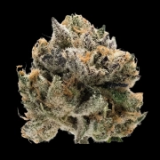 Double xl Tropical Cookies cannabis plants in bloom, grown from Automatic seeds – ideal for home cultivation from Growers Choice