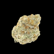 Permanent White Marker cannabis plants in bloom, grown from Feminized seeds – ideal for home cultivation from Growers Choice