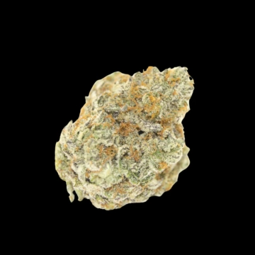 Permanent White Marker cannabis plants in bloom, grown from Feminized seeds – ideal for home cultivation from Growers Choice