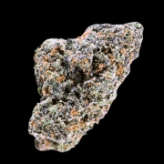 Blue Nerdz Auto cannabis plants in bloom, grown from Automatic seeds – ideal for home cultivation from Terp Farmz Seeds