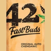 Original Auto Chemdawg cannabis plants in bloom, grown from Automatic seeds – ideal for home cultivation from FastBuds Seeds