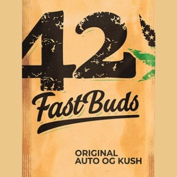 Original Auto OG Kush cannabis plants in bloom, grown from Automatic seeds – ideal for home cultivation from FastBuds Seeds