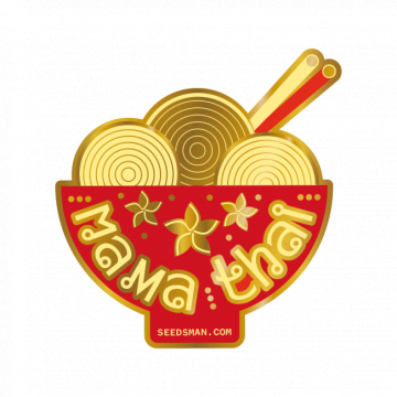 Mama Thai cannabis plants in bloom, grown from Regular seeds – ideal for home cultivation from Seedsman