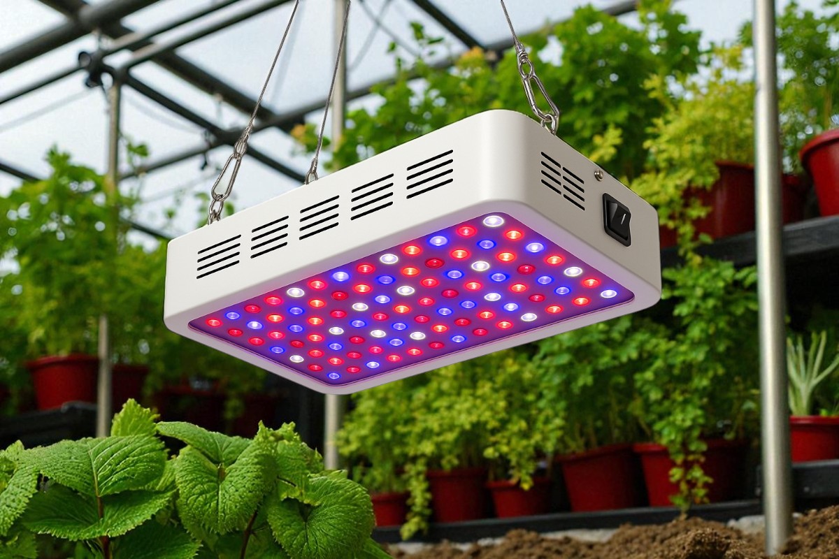 LED grow light for indoor cannabis cultivation