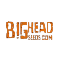Bighead Seeds seedbank logo