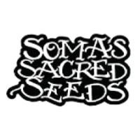 Soma Seeds seedbank logo